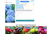 Техническая поддержка интернет магазина по продаже растений "Сады Эдема"
