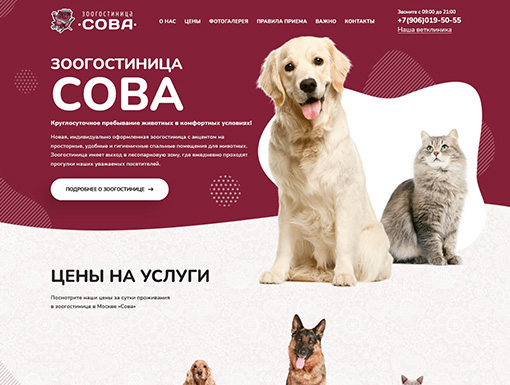 Зоогостиница в Москве, передержка кошек и собак, отель для животных Сова